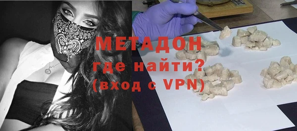 индика Алексин