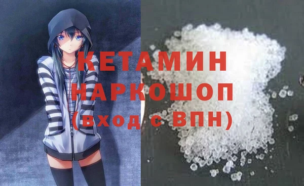индика Алексин